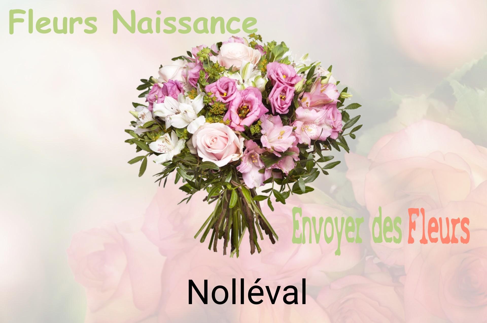 Bouquet de fleurs de naissance livré à Nolléval